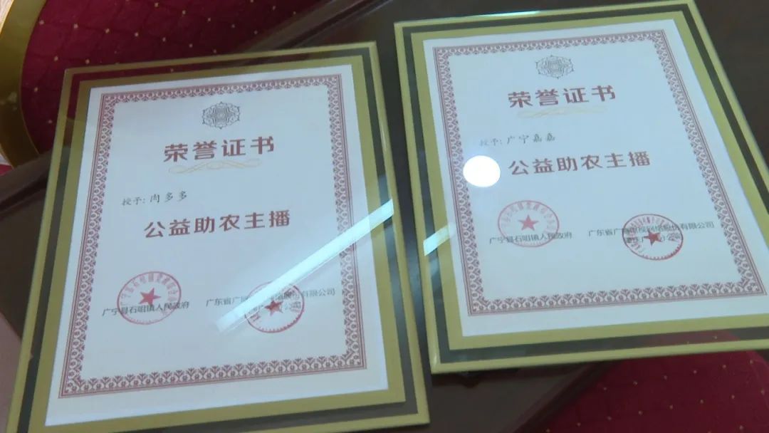 廣東廣電網(wǎng)絡(luò)：智慧廣電網(wǎng)絡(luò)平臺(tái)，開(kāi)啟廣寧農(nóng)產(chǎn)品銷售新格局